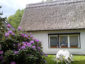 pp180dfb2f.png