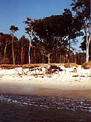 pp527d5f70.png